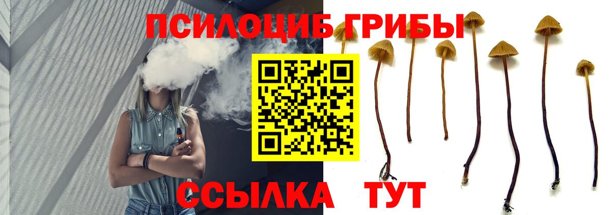 Псилоцибиновые грибы Magic Shrooms Нягань